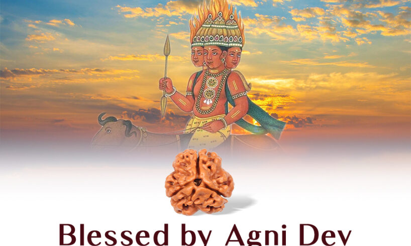 Three Mukhi Rudraksh