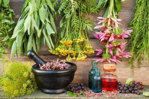 Ayurveda and Anemia