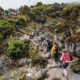 Kilimanjaro climb cost