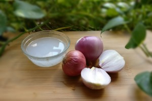 Red Onion Oil Benefits