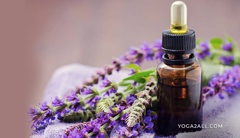 Clary Sage Oil