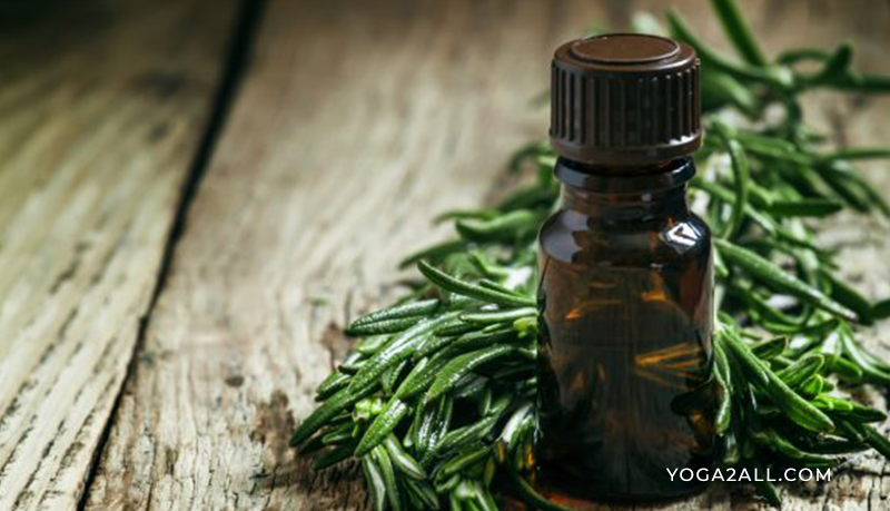 Tea Tree Oil