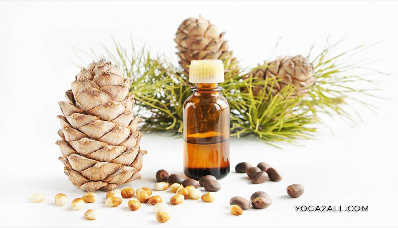 Cedarwood Oil