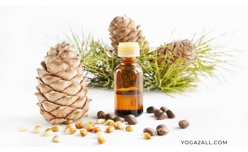 Cedarwood Oil