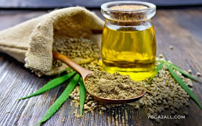 Hemp Seed Oil