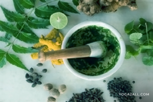 Ayurveda and Acne