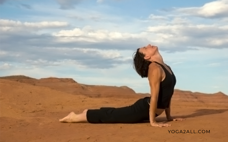 bhujangasana_cobra_pose