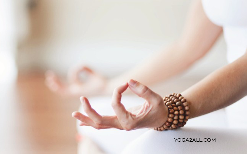 Yoga Mudra