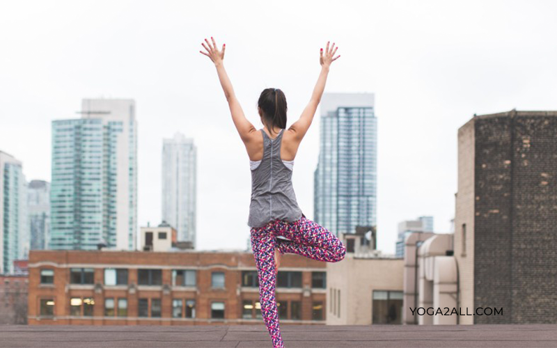 Yoga Mudra