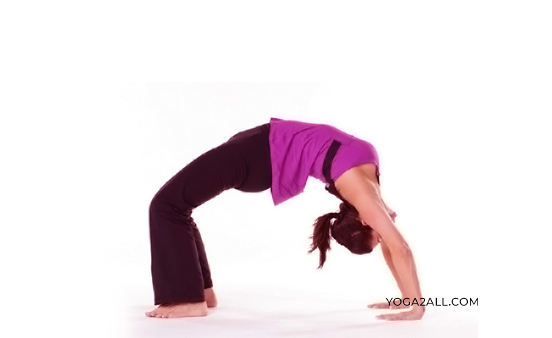 Wheel Pose Yoga