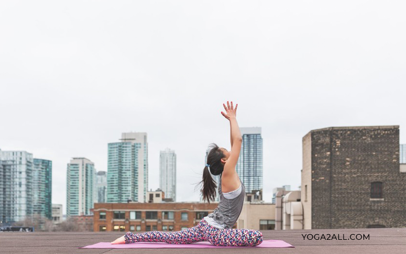 Yoga Mudra